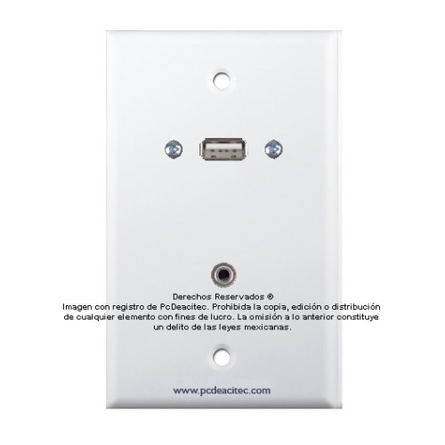 Placa Tapa USB 2.0 + Audio Jack 3.5 mm en ABS