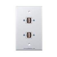 Placa Tapa doble USB 2.0 en ABS