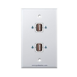 Placa Tapa doble USB 2.0 en ABS
