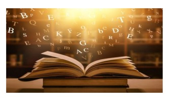 Blog PcD 6. El Tumbaburros Técnico