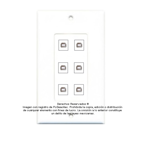 Placa Tapa Decora 6 USB 2.0 tipo B a tipo A en ABS