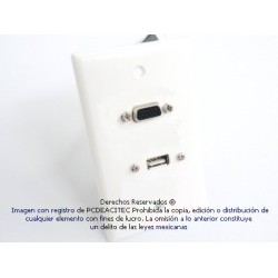 Placa Tapa VGA + USB 2.0 pigtail en ABS