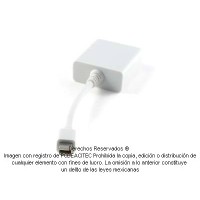 Convertidor Mini DisplayPort macho a DVI-I hembra Convertidor Mini DisplayPort macho a DVI-I hembra