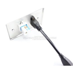 Placa Tapa HDMI 4k pigtail + Jack RJ45 Cat6 ponchable en Acero Inoxidable