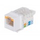 Jack RJ45 Cat5e Keystone Pro sin herramienta, con bloqueo 