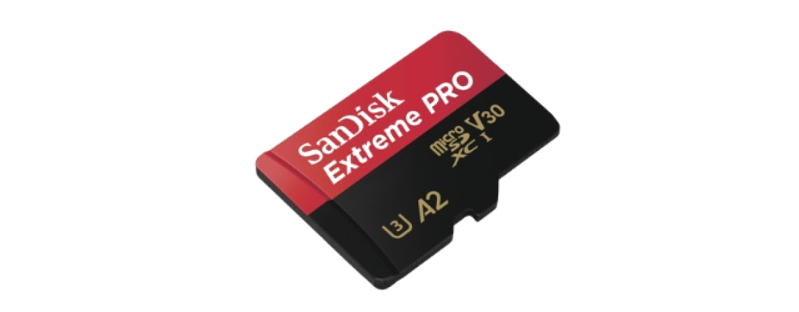Memorias SD / microSD