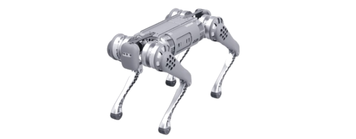 Robots