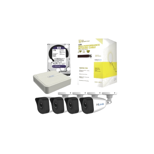 IP Megapixel